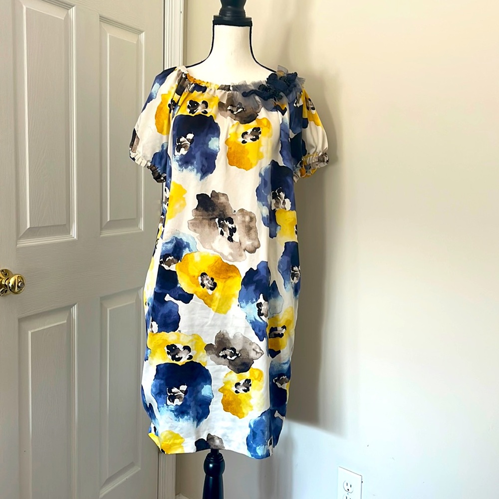 HOST PICK……Simply Vera Wang Dress
